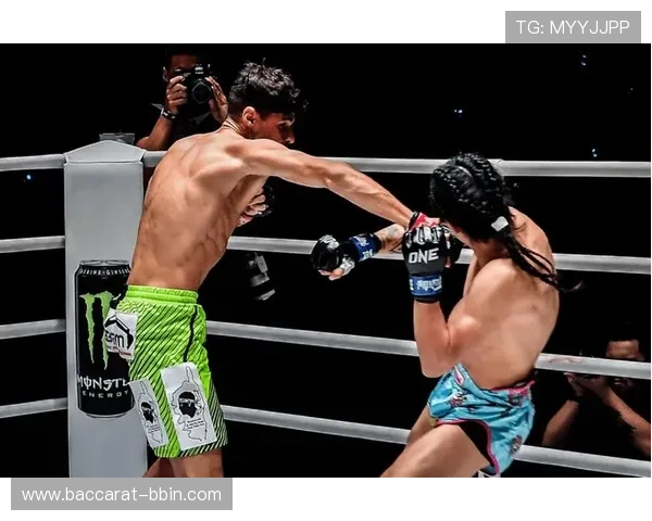 凯恩训练营最新动态：耐力与速度显著提升助力巅峰状态恢复